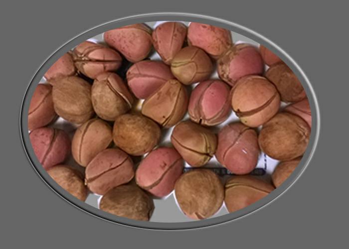 What You Need To Know About Mbaise New Yam Festival; Origin And Significance. 4
