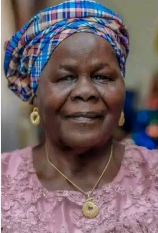 APCUPA Chairman, Chief Chukwu Commiserates With APC National Chair On Death Of His Mother, Pledges Support 3