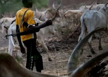 Suspected Armed Fulani Herders Invade Imo community, Kill Vigilante, Abduct Others