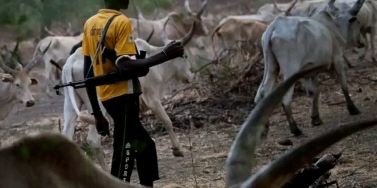 Suspected Armed Fulani Herders Invade Imo community, Kill Vigilante, Abduct Others
