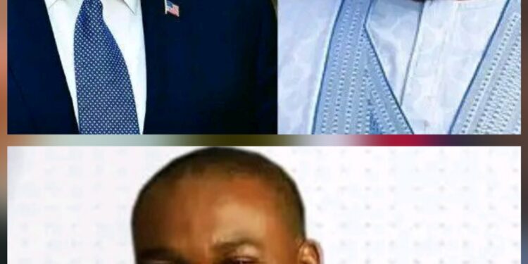 APCUPA Chairman, Dr Chukwu Commends Tinubu’s Inclusive Governance, Calls For Nigeria’s Deeper Cooperation With USA, China