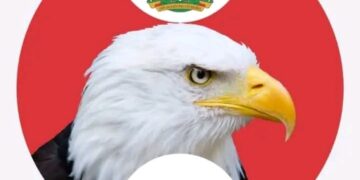 From Grey Lists to Golden Eras: The Institutional Rebirth of the EFCC – By Erasmus Ikhide