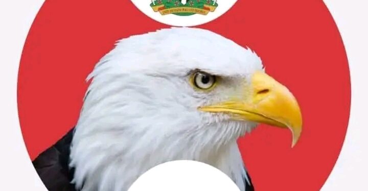 From Grey Lists to Golden Eras: The Institutional Rebirth of the EFCC – By Erasmus Ikhide