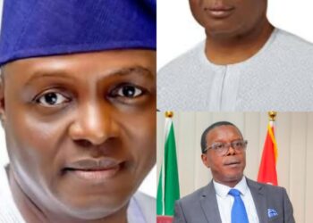 SEN.NDUBUEZE CONGRATULATES THE NEW NEC OF APC, LAUDS THE CONTRIBUTIONS OF GOV. UZODINMA TO THE SUCCESS OF CONVENTION