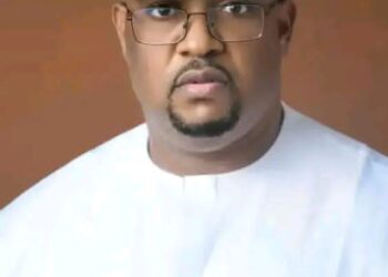 2023 Imo State Governorship Candidate, Odunzeh Dumps NNPP