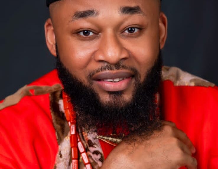 Breaking: Uzoma Emeodi Emerges winner In APC Primaries; Oru West, Ohaji Egbema,Oguta Federal Constituency