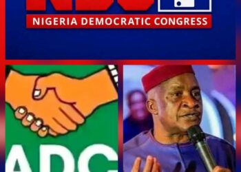 Party Primaries: Village Boys And Girls Movement[Obedient Movement] Pass Vote Of No Confidence On Achike Udenwa
