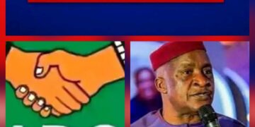 Party Primaries: Village Boys And Girls Movement[Obedient Movement] Pass Vote Of No Confidence On Achike Udenwa